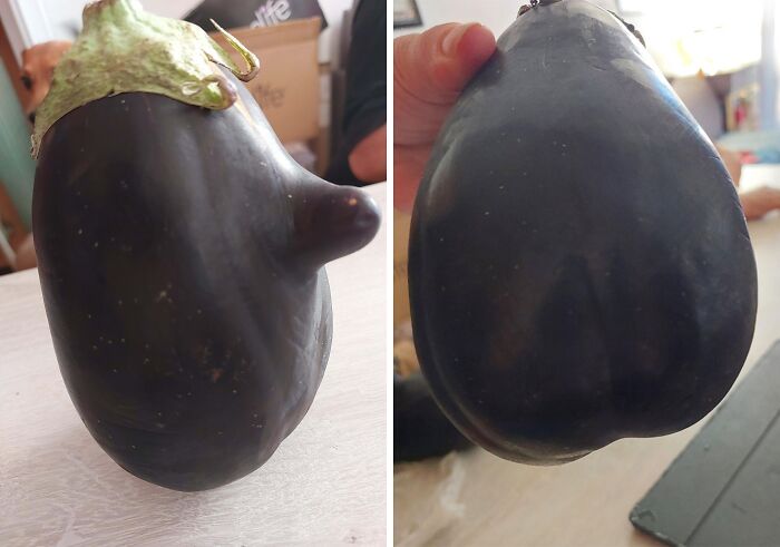 Eggplant With A Nose And A Butt?