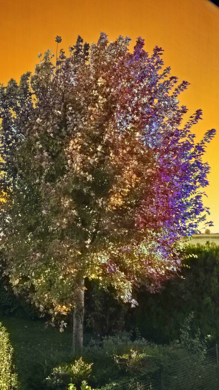 When Your Phone Takes Creepy Photos By Itself