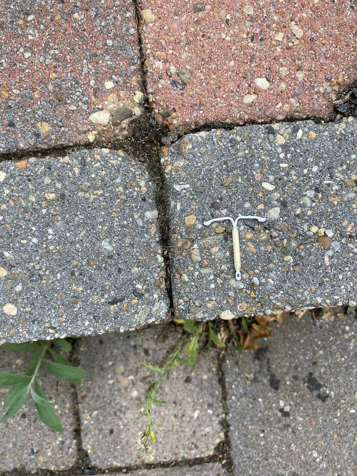 Found An IUD On The Street On My Way To The Dentist?