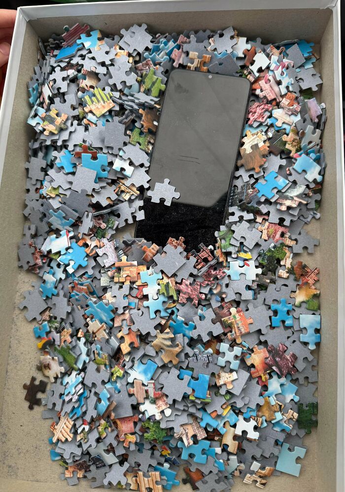 Found A Phone Hidden In A Puzzle? What The...