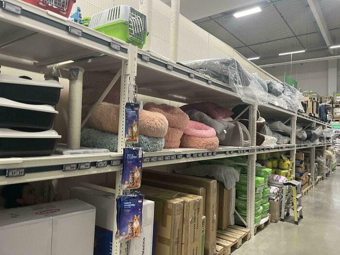 Person Hiding In Hardware Store Shelves. Yep, Really.