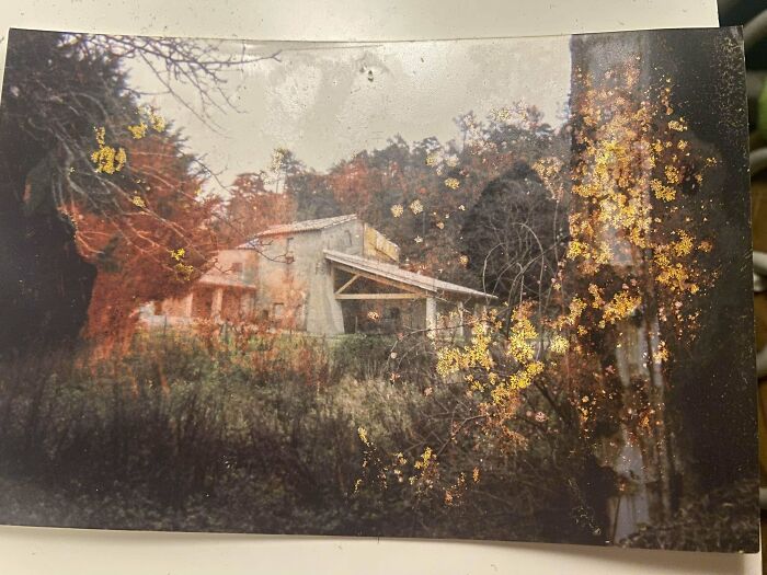 Creepy Old Photos Of A House From 2004. What’s Going On?