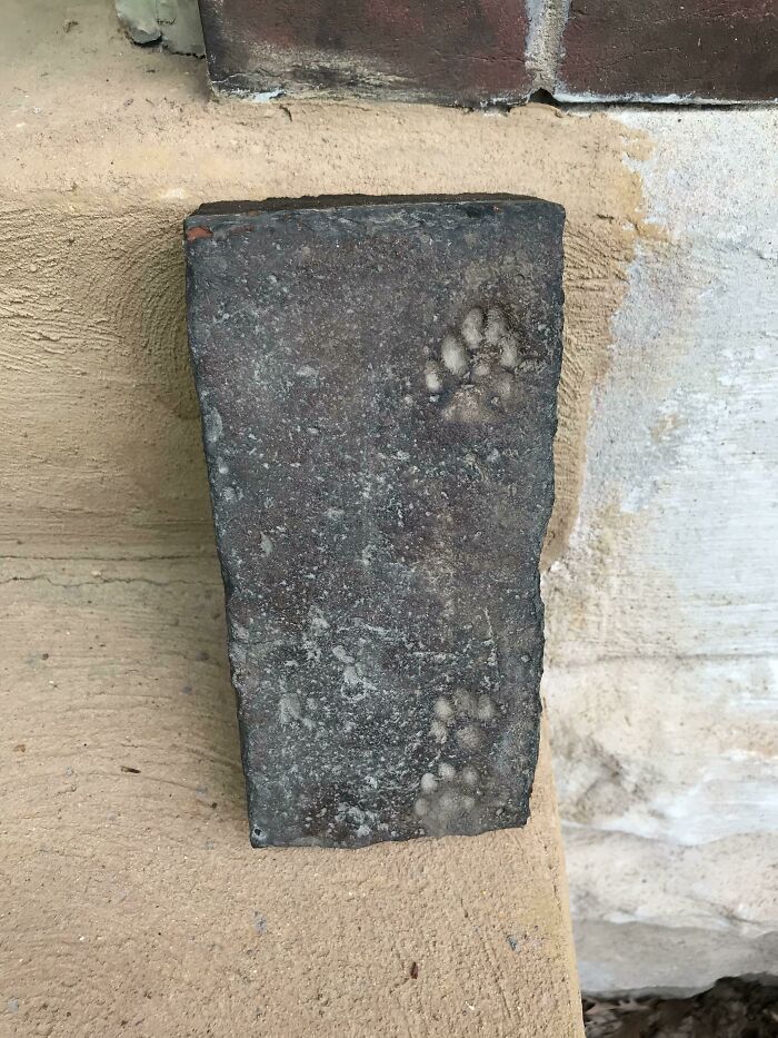 Old Bricks From Our 1890s Townhouse Had A Little Surprise