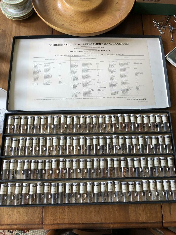 Grandad’s Attic Was Hiding A Collection Of Old Seeds