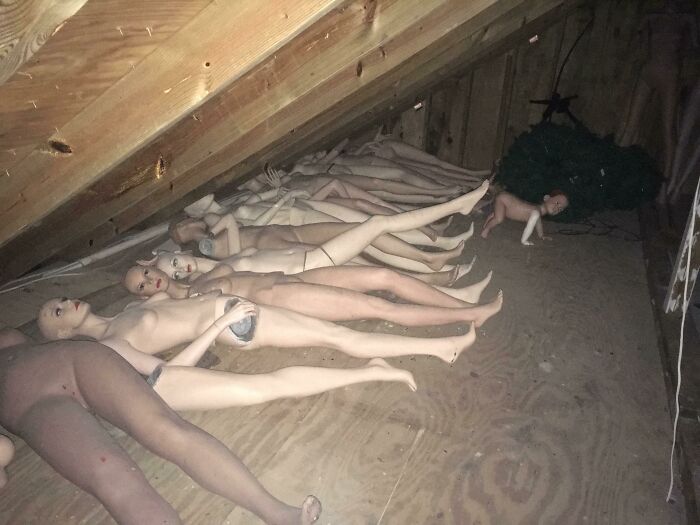 Went In The Attic Of A House We Were Checking Out, And...