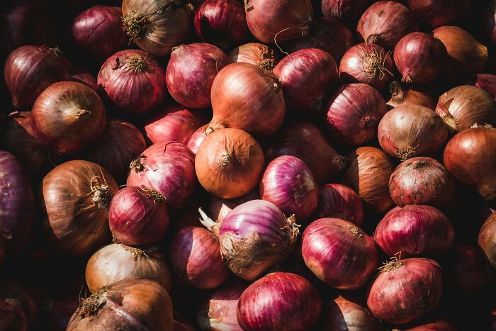 How Vikings Used Onions To Diagnose Belly Wounds (No, Seriously)