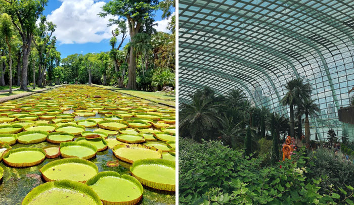 Wait, They Actually Ranked These Famous Gardens?!