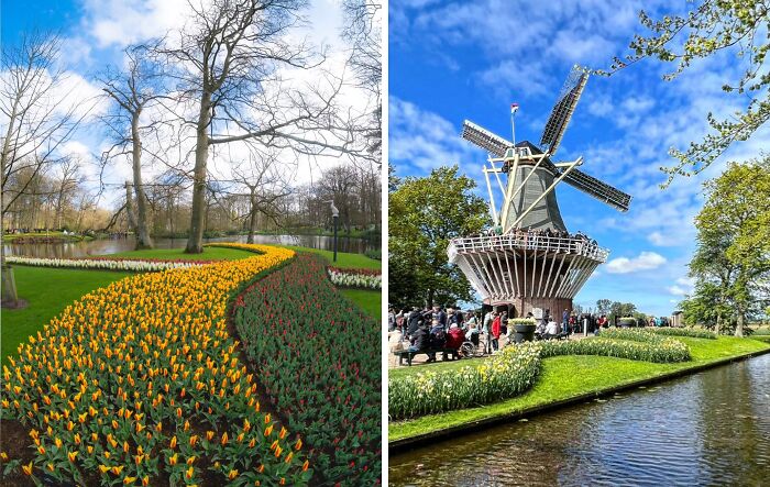 Keukenhof - Lisse, Netherlands