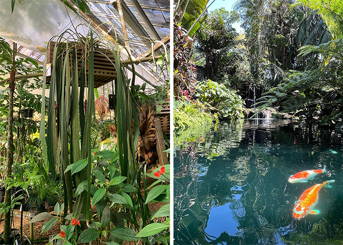 Marie Selby Botanical Gardens - Sarasota, Florida, USA