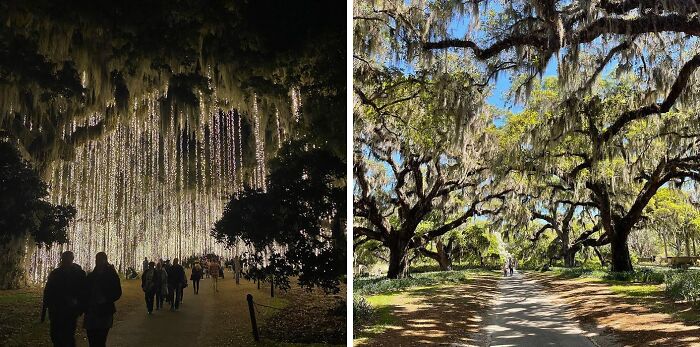 Brookgreen Gardens - Murrells Inlet, South Carolina, USA