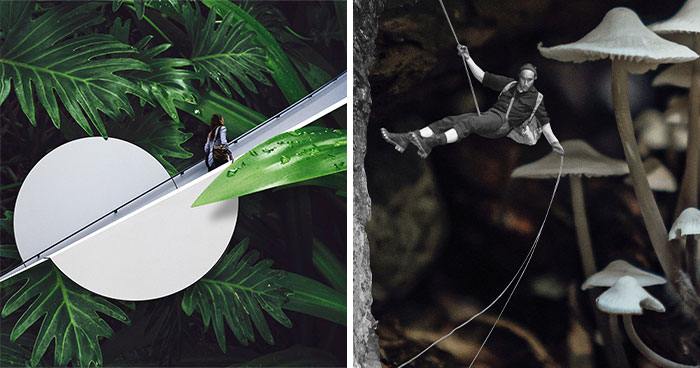 40 Wild Nature Collages That’ll Make You Say “Wait, What?”