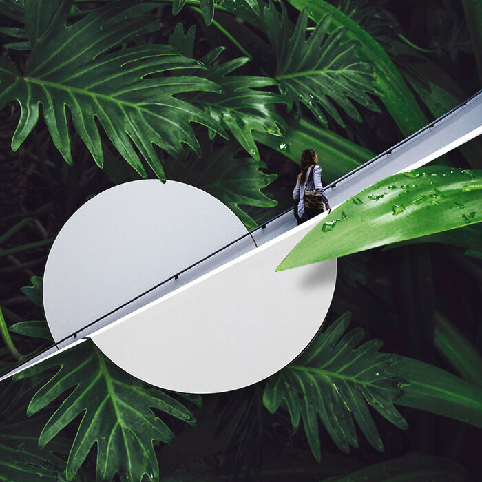 40 Wild Nature Collages That'll Make You Say "Wait, What?"