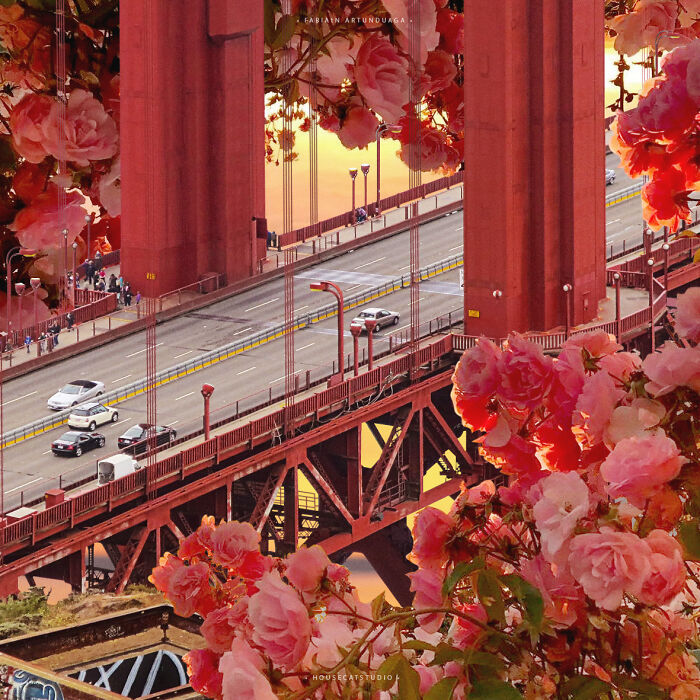 40 Wild Nature Collages That'll Make You Say "Wait, What?"