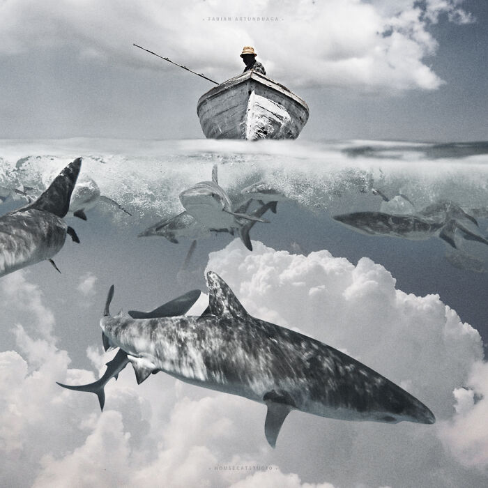 40 Wild Nature Collages That'll Make You Say "Wait, What?"