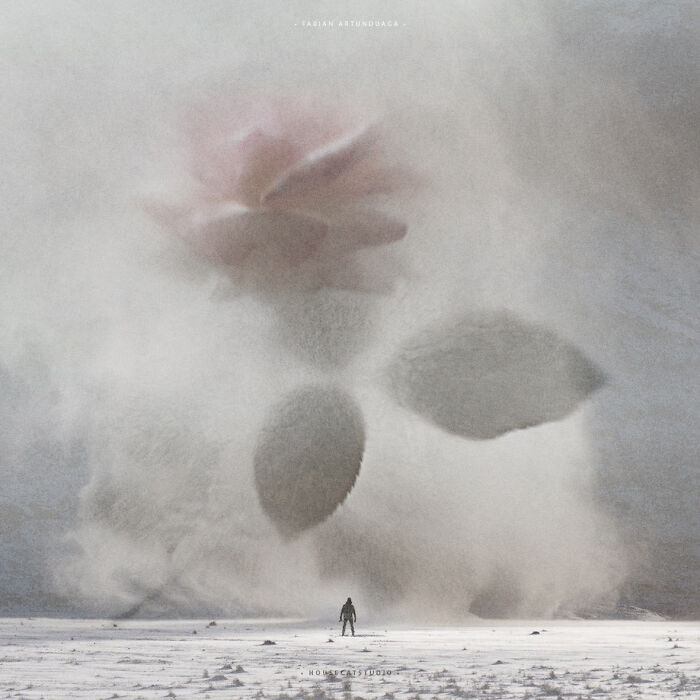 40 Wild Nature Collages That'll Make You Say "Wait, What?"