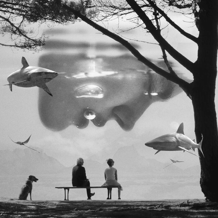 40 Wild Nature Collages That'll Make You Say "Wait, What?"