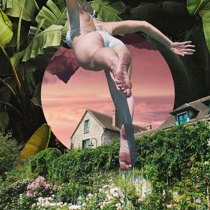 40 Wild Nature Collages That'll Make You Say "Wait, What?"
