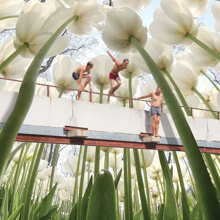 40 Wild Nature Collages That'll Make You Say "Wait, What?"