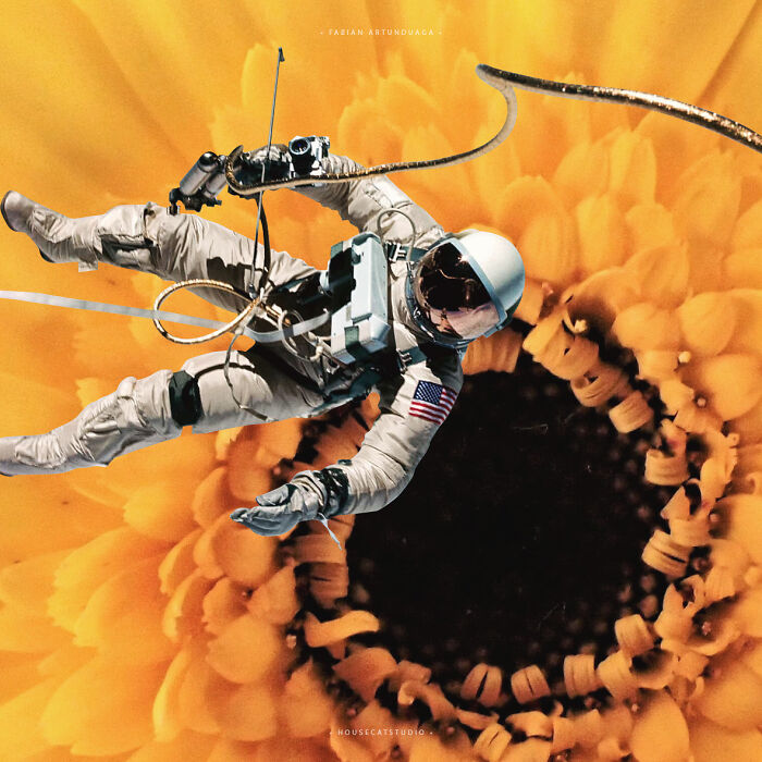 40 Wild Nature Collages That'll Make You Say "Wait, What?"