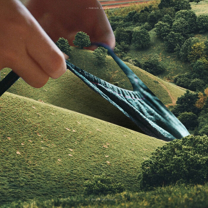 40 Wild Nature Collages That'll Make You Say "Wait, What?"