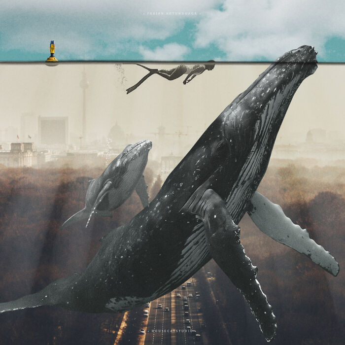 40 Wild Nature Collages That'll Make You Say "Wait, What?"