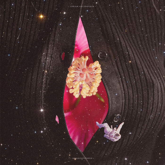 40 Wild Nature Collages That'll Make You Say "Wait, What?"