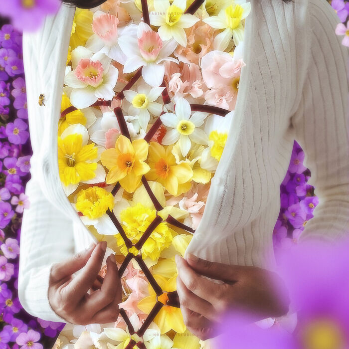 40 Wild Nature Collages That'll Make You Say "Wait, What?"