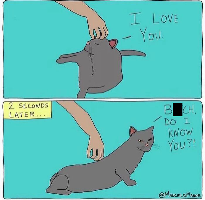 Wait Till You See These Hilarious Comics About Life’s Everyday Weirdness