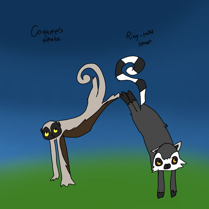 Two Primates, One Awesome Pic!