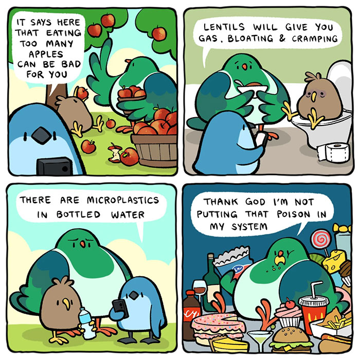 Meet the Chubby Birds That Are Basically Tiny Comedians