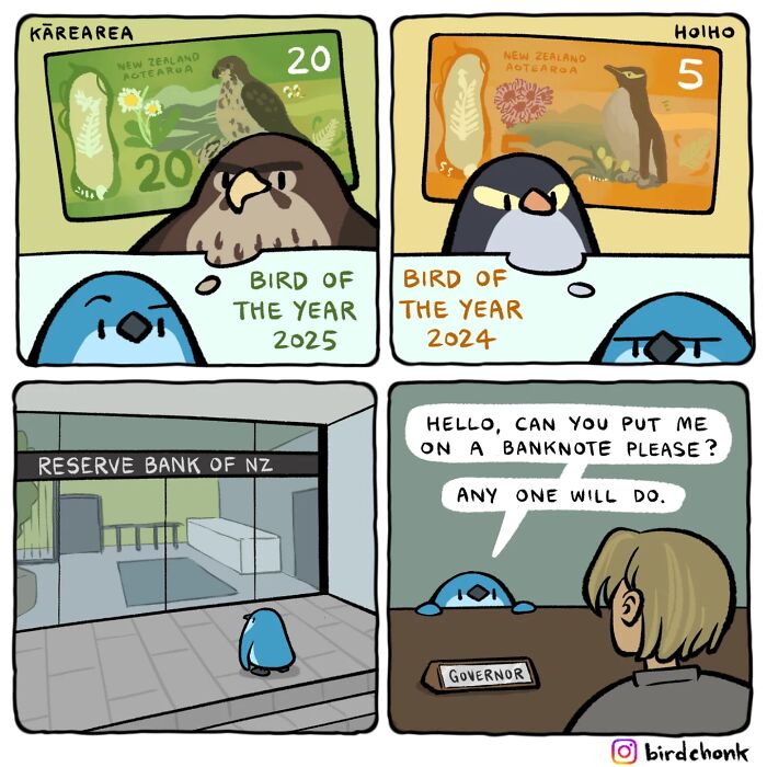 Meet the Chubby Birds That Are Basically Tiny Comedians