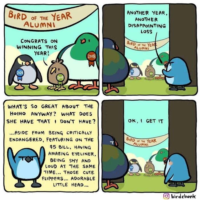 Meet the Chubby Birds That Are Basically Tiny Comedians