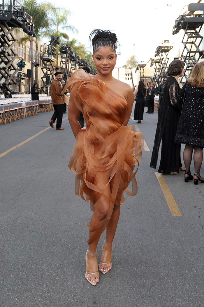 Halle Bailey’s Copper Wave