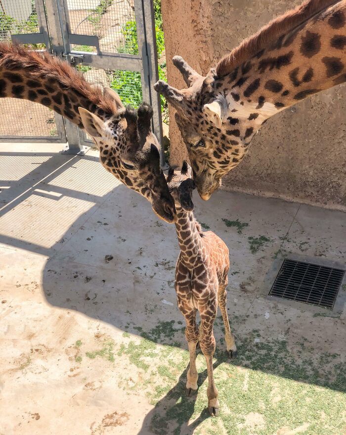 First Family Portrait at Santa Barbara Zoo