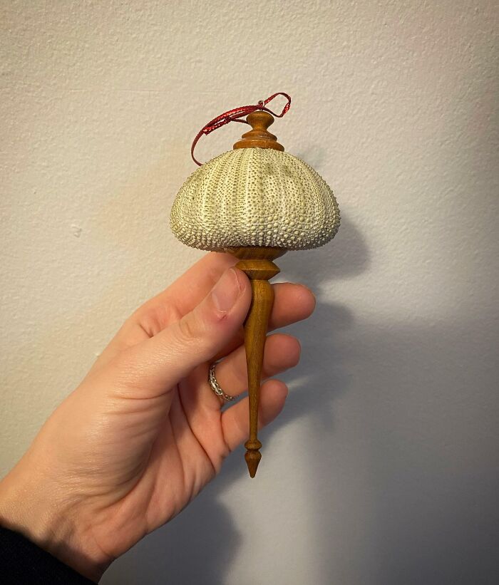 A Doctor Made This Unique Christmas Ornament From a Dead Sea Urchin