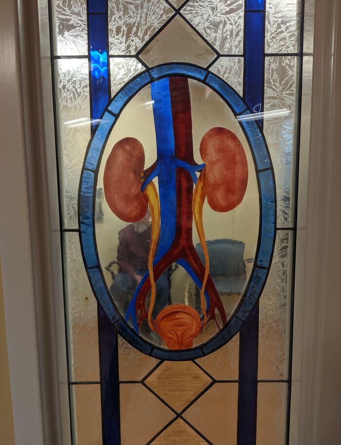 You’ve Got to See This Stained Glass Urinary Tract System at My Doctor’s Office