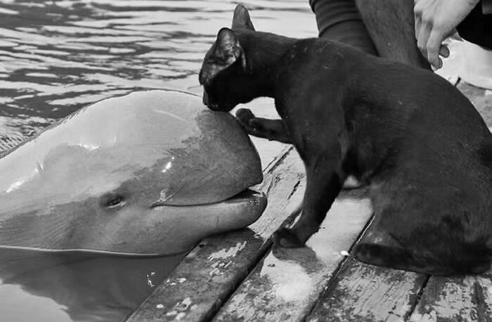 Snap By Stephan Bordy