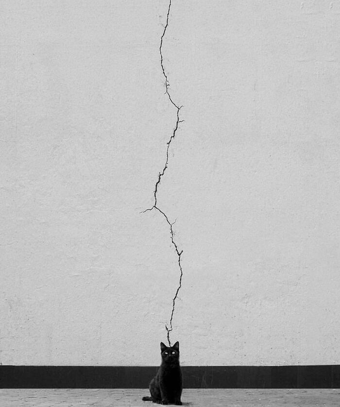 Snap By Ali Zoghadri