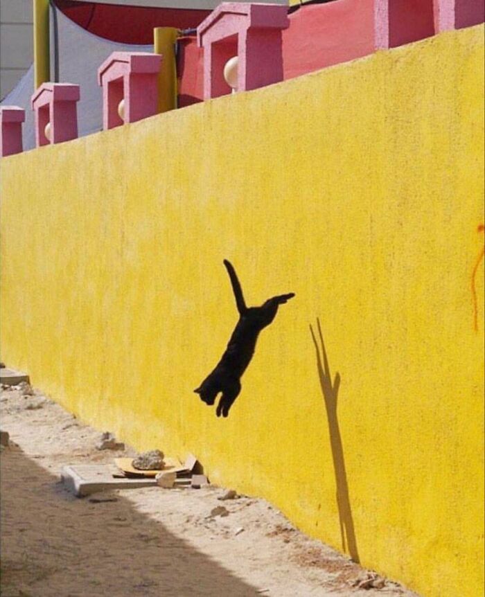 Snap By Aude Delannoy Dib