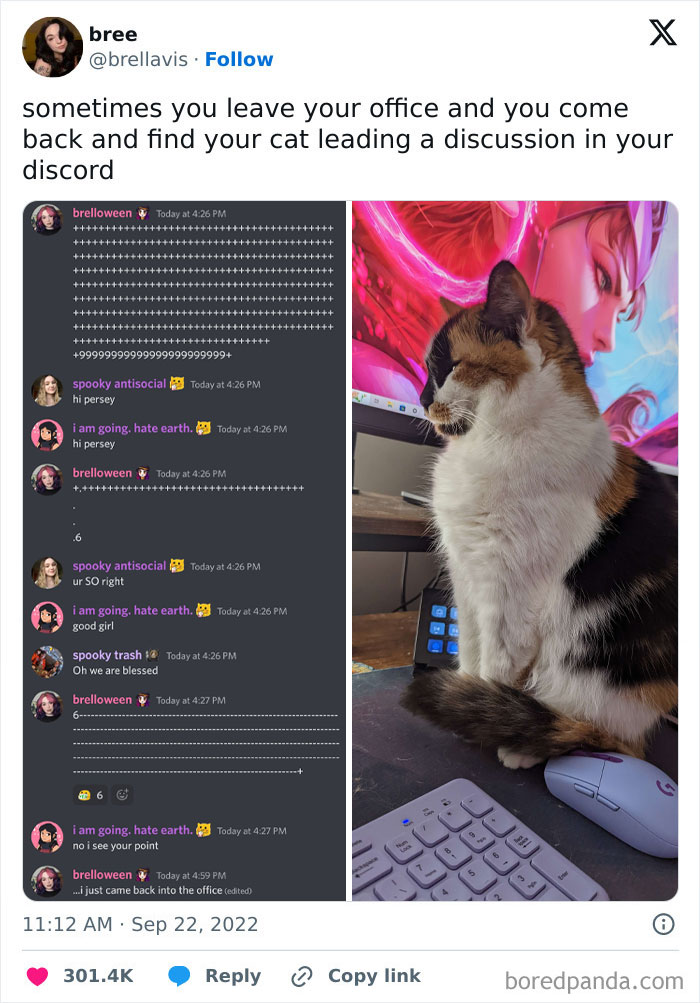 Wait, They Really Tweeted This?! The 50 Funniest Posts Ever