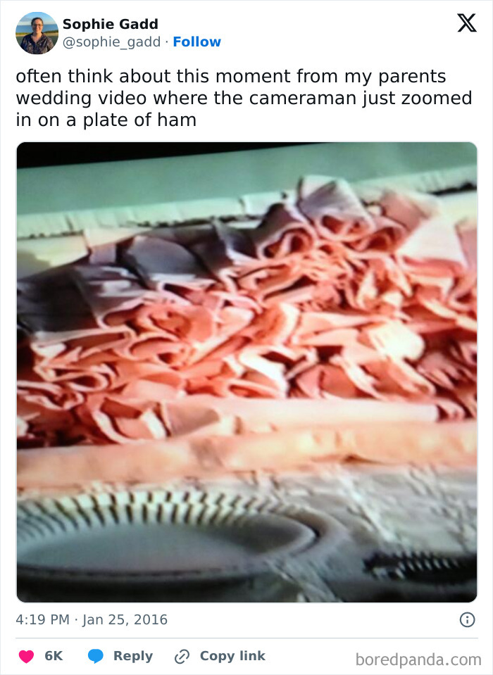 Wait, They Really Tweeted This?! The 50 Funniest Posts Ever