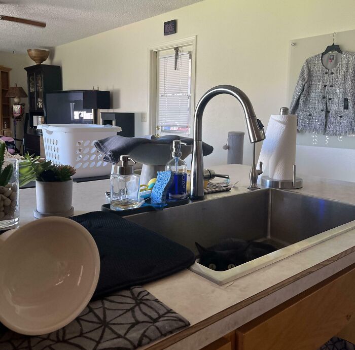 Ever Feel Like Someone's Watching You, But No One’s There?