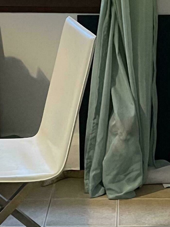 This Totally Normal Chair And Curtain? Cat Approved!