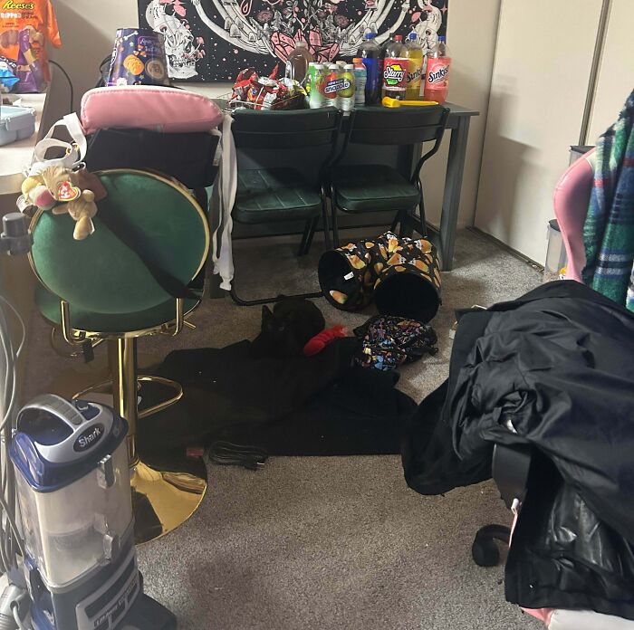 I Lose Him Multiple Times A Day, No Joke!