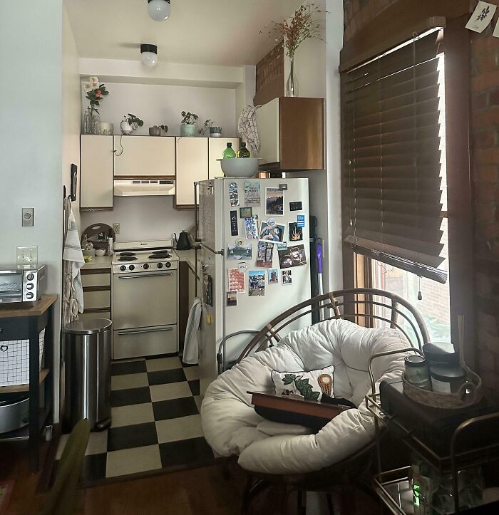 Ever Have That Feeling You’re Being Watched? Yep, That’s A Cat