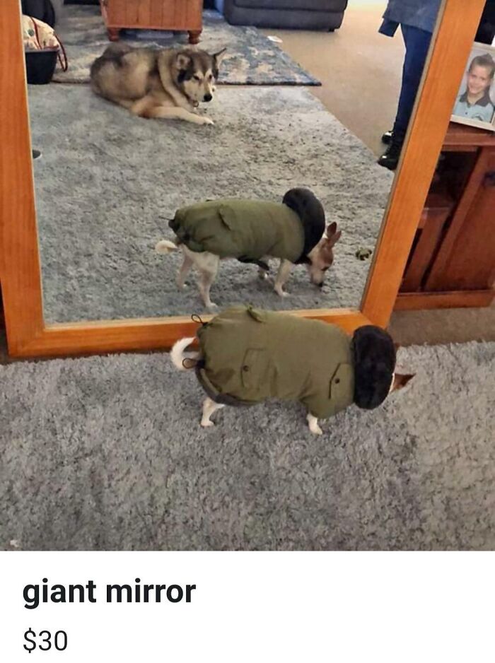 Mirror Fashion Show? Yes Please!