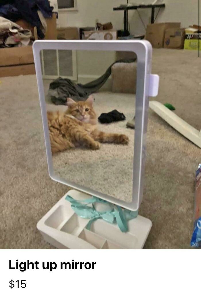 He Really Needs That $15 (or Just Loves Mirrors)
