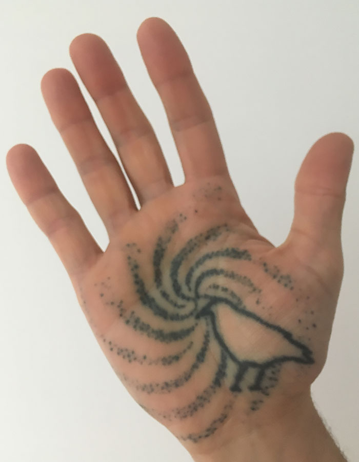 Palm Void: Where Did the Palm Go?