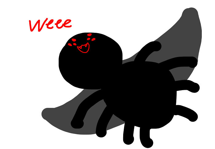 Spider That Decided It Could Fly (Yep, It Has Wings)