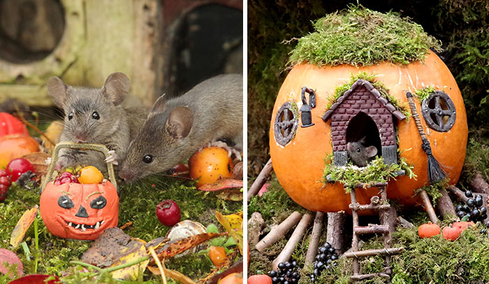 Meet the Halloween Mouse Village That’ll Totally Charm Your Socks Off